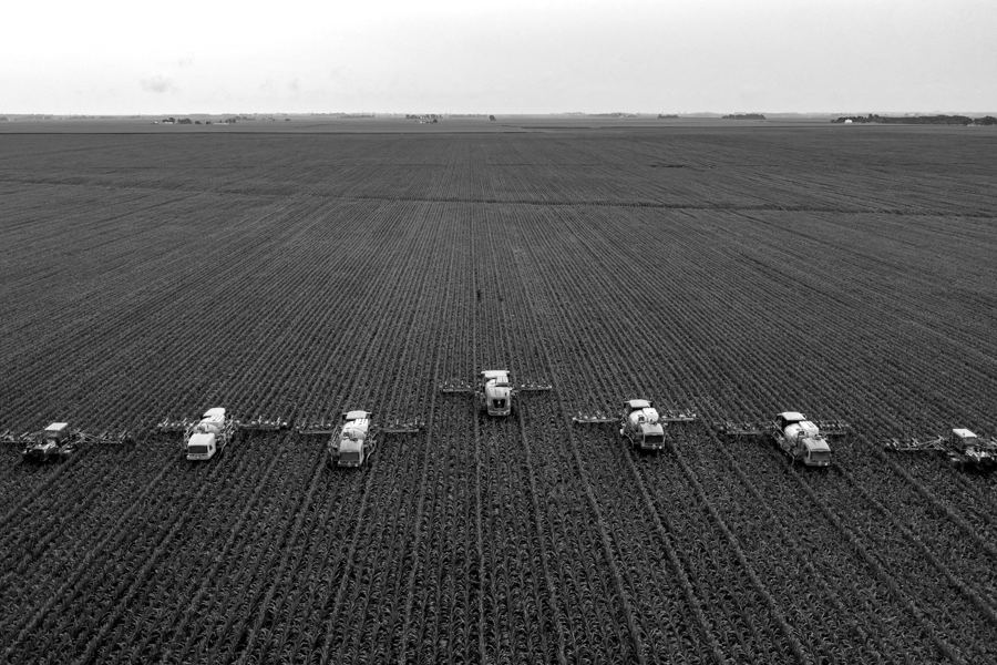 Alimentos e commodities